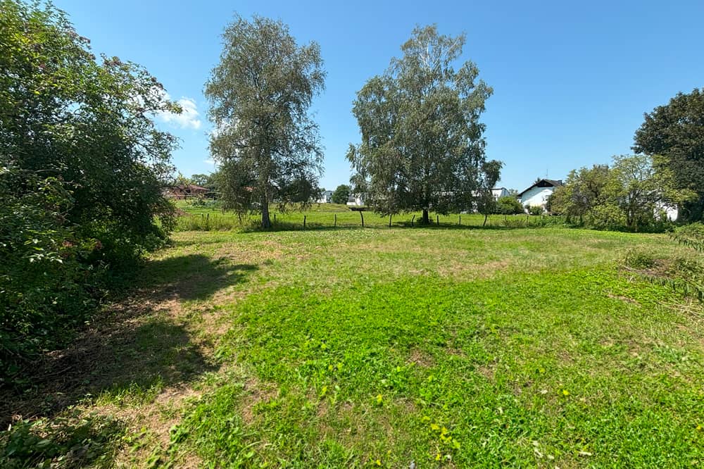 Sunny building plot at Leopoldskron green belt