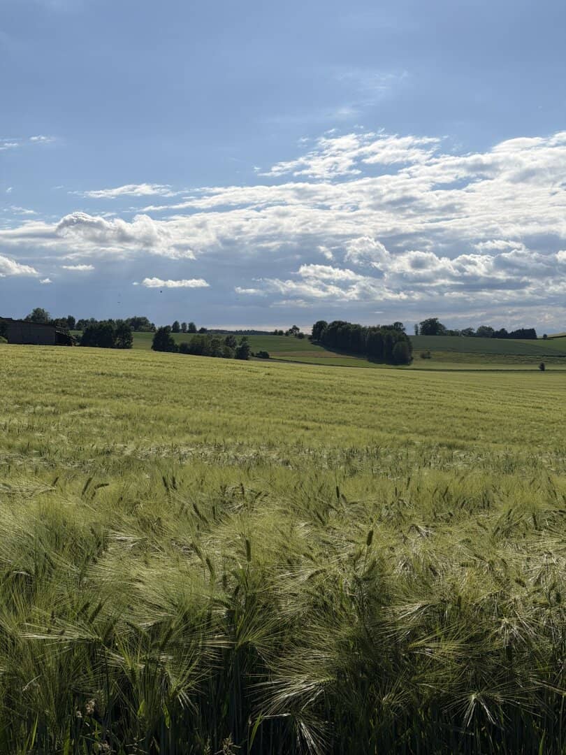 Arrondierte landwirtschaftliche Fläche mit guter Bodenqualität