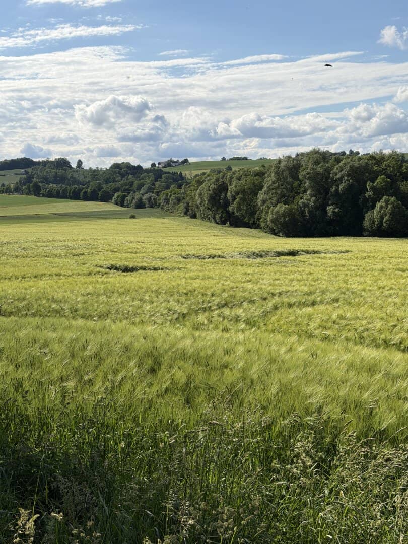 Arrondierte landwirtschaftliche Fläche mit guter Bodenqualität