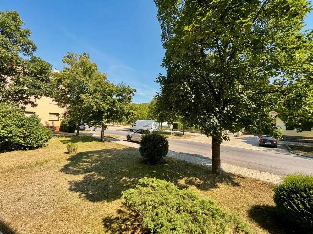 Renovated ground floor apartment with loggia and garage