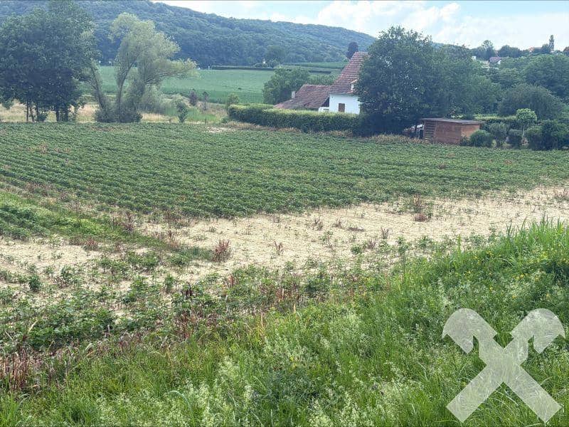 Großzügiges Baugrundstück mit Fernwärmeanschluss in zentraler Lage