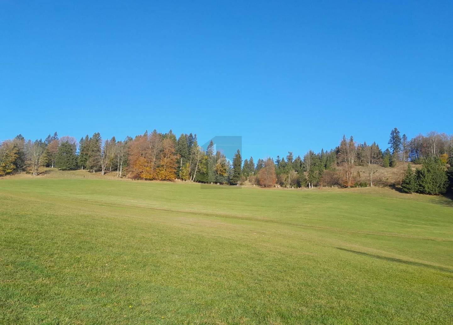 Ferienwohnung auf Hochplateau mit unverbaubarem Panoramablick