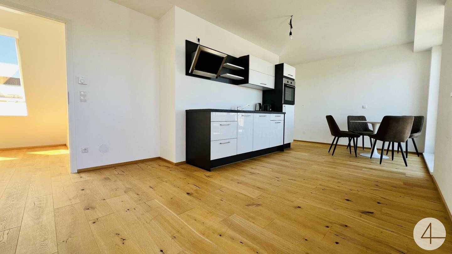 New Build Penthouse with Southeast Terrace and Air Conditioning