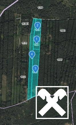 Waldgrundstück mit Fichtenbestand und Hanglage