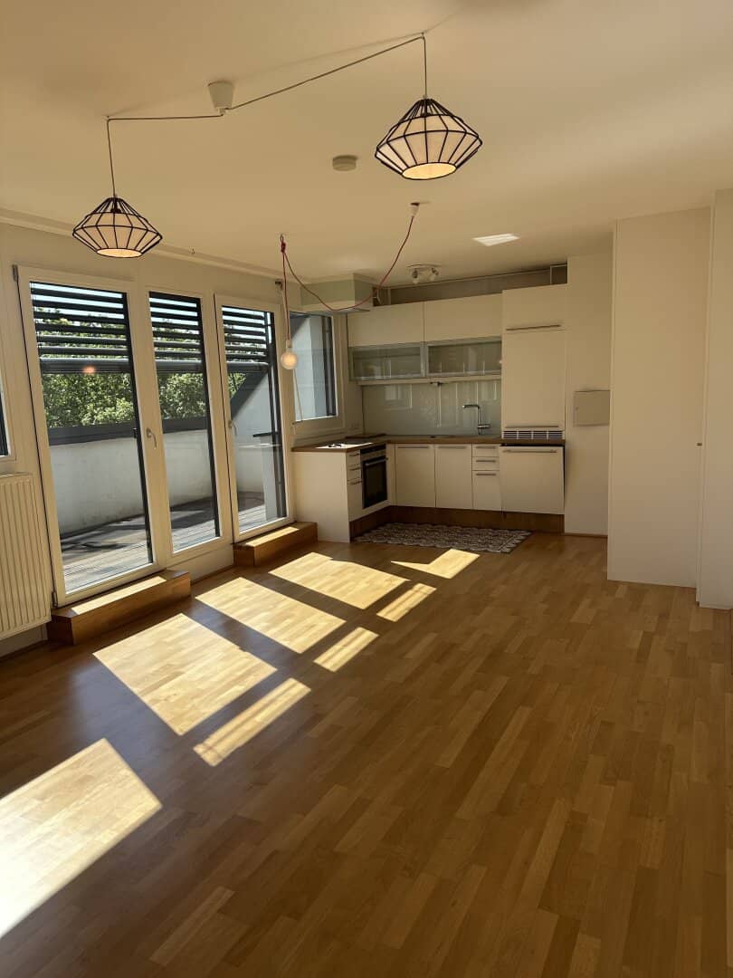 Penthouse apartment with terrace and greenery view near Schwendermarkt