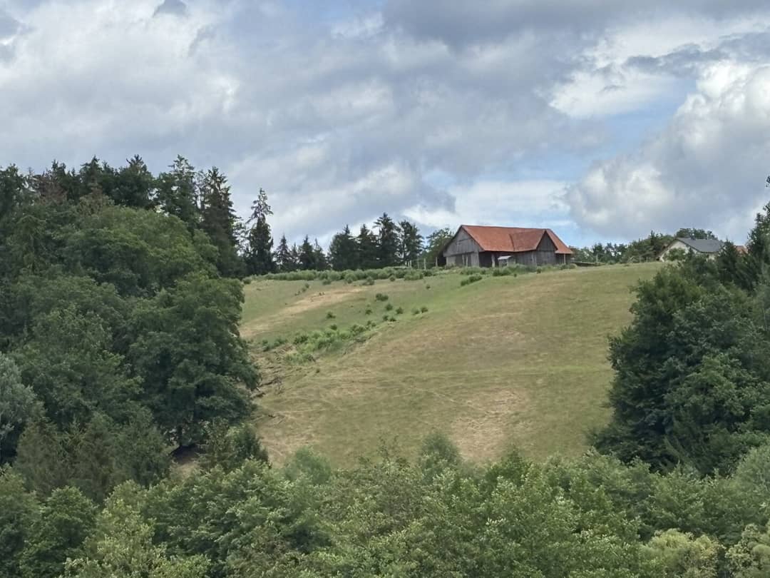 Immobilienbild 2