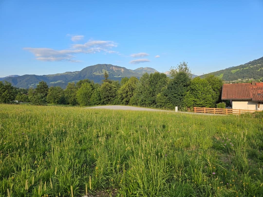 Immobilienbild 2