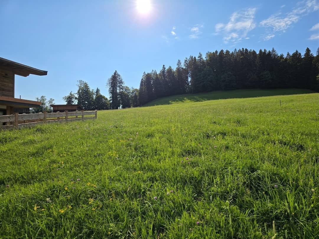 Immobilienbild 4