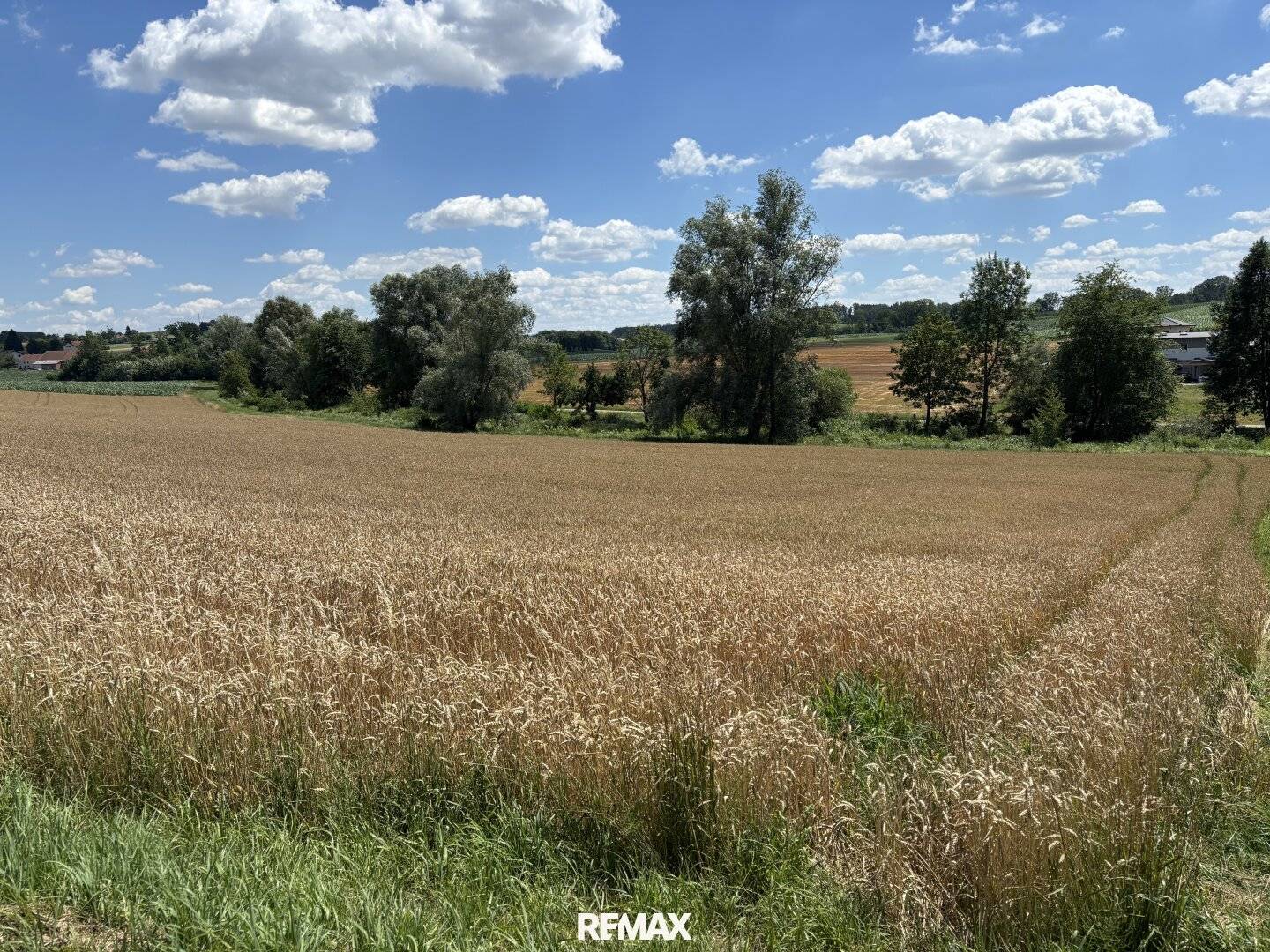 Großzügige Baugrundstücke in sonniger zentrumsnaher Grünlage