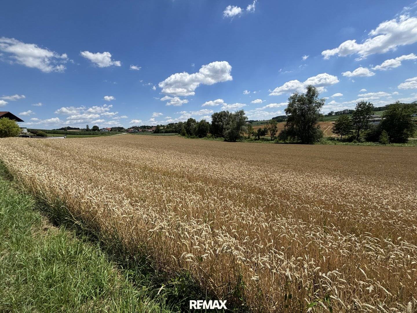 Großzügige Baugrundstücke in sonniger zentrumsnaher Grünlage