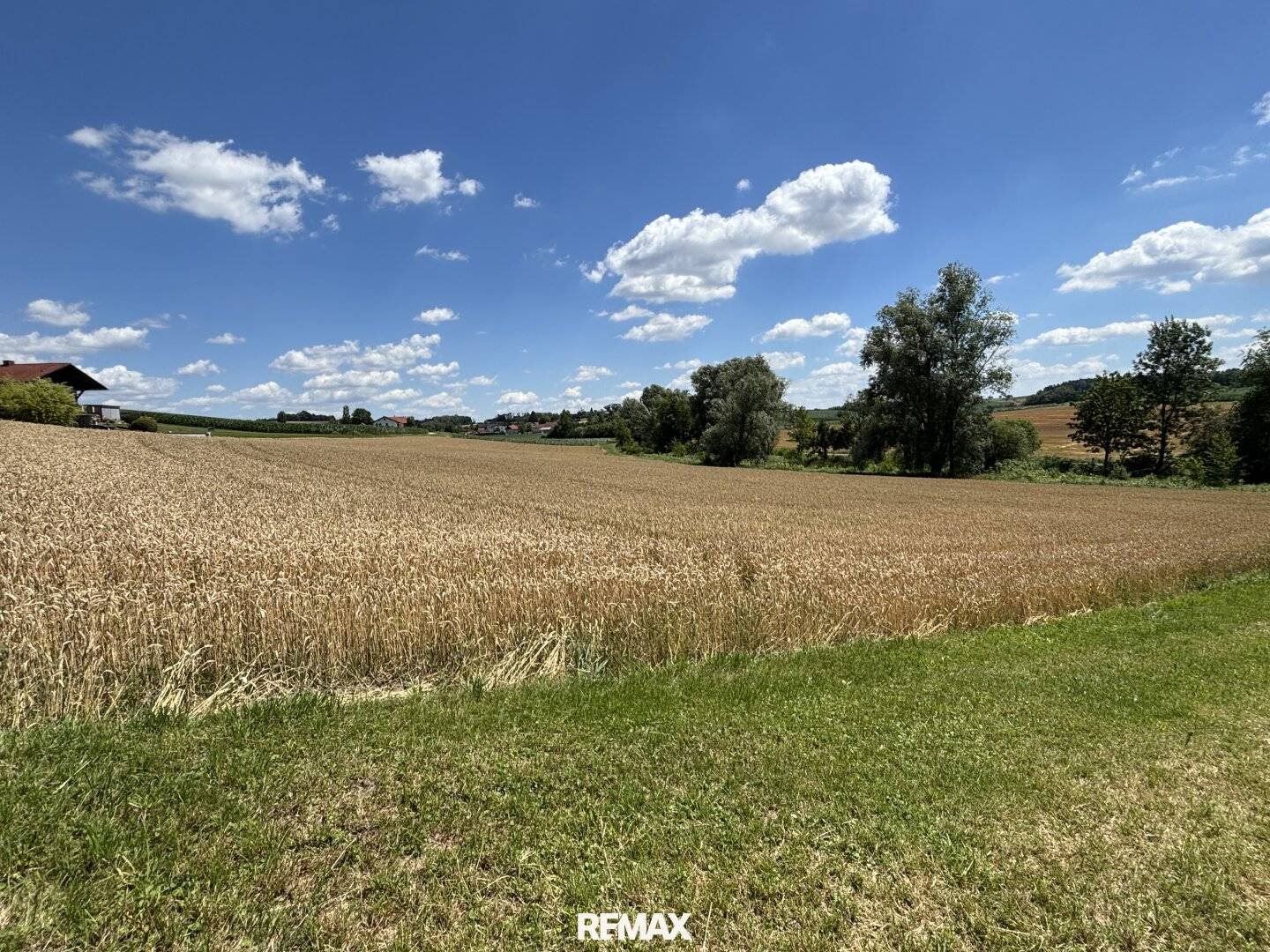 Großzügige Baugrundstücke in sonniger zentrumsnaher Grünlage