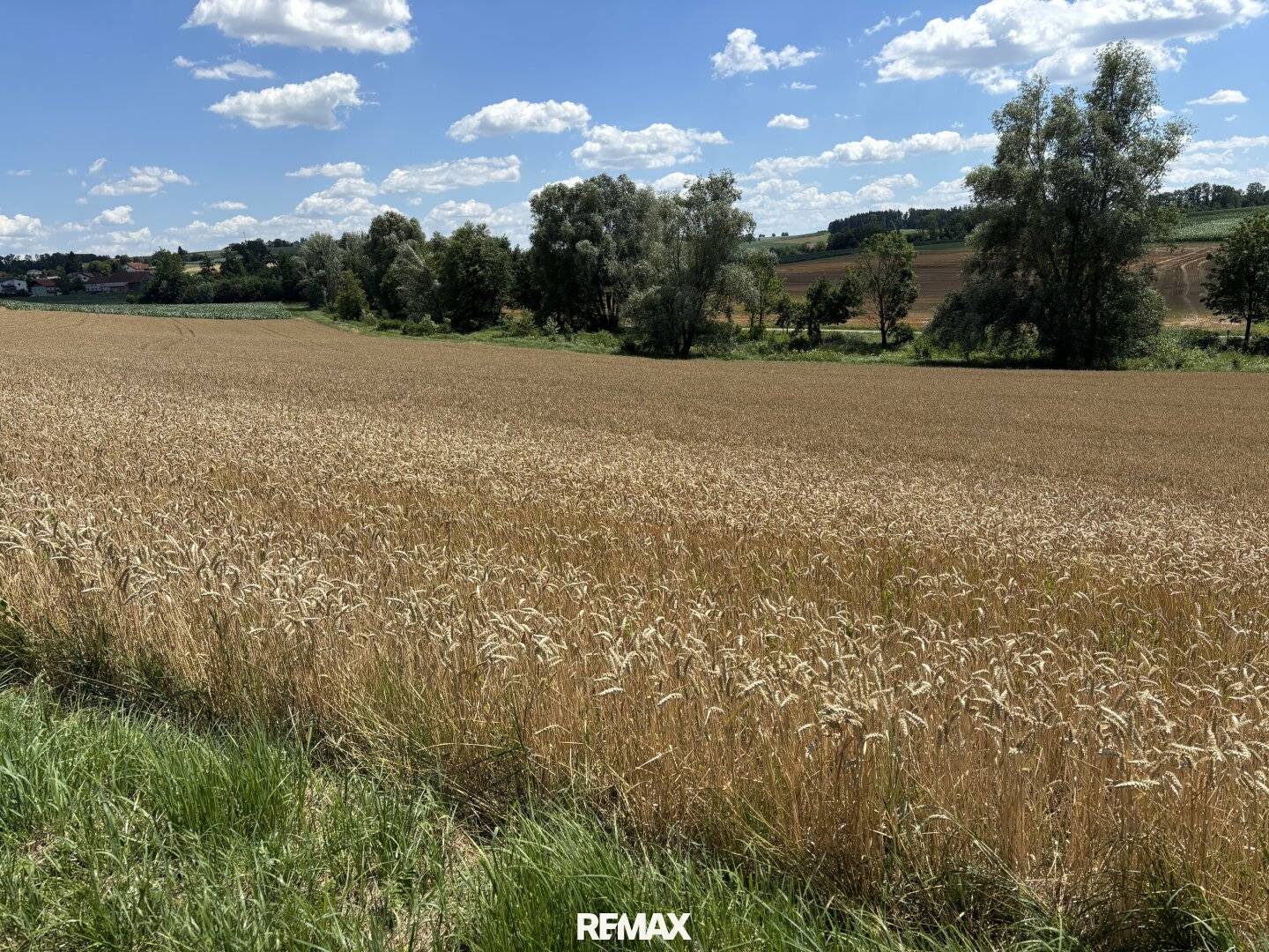 Großzügige Baugrundstücke in sonniger zentrumsnaher Grünlage