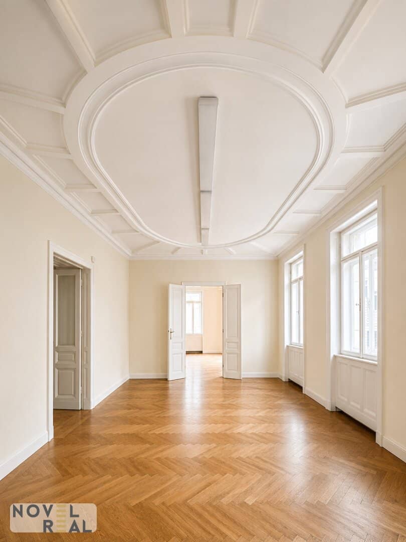 Inner City Ensemble: Commercial Space & Mezzanine Apartments