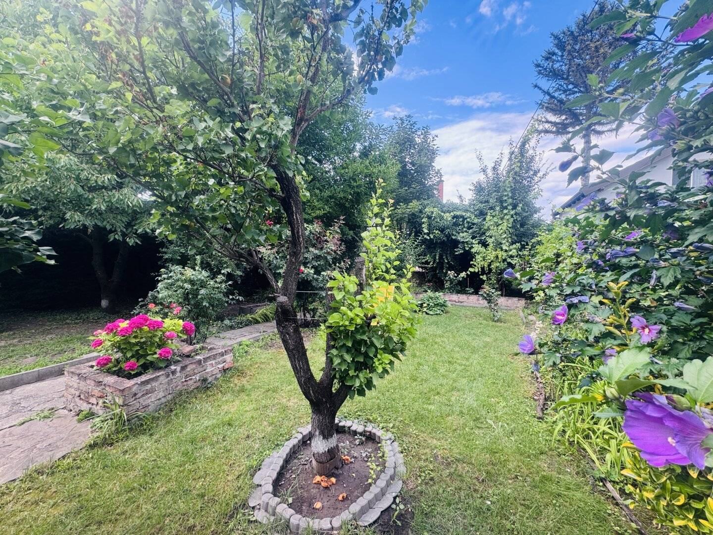 Your retreat at the Alte Donau - charming house on private land