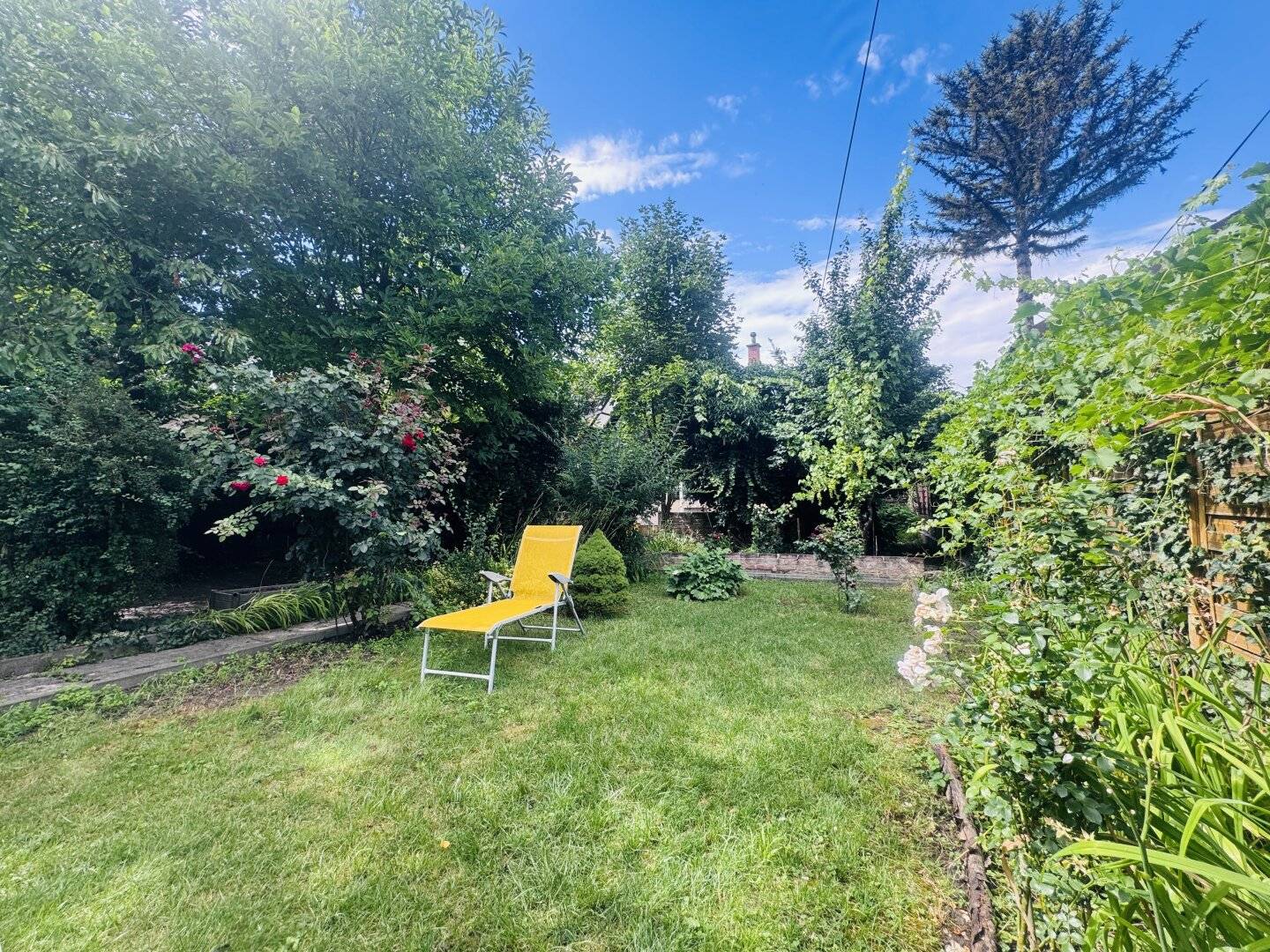 Your retreat at the Alte Donau - charming house on private land