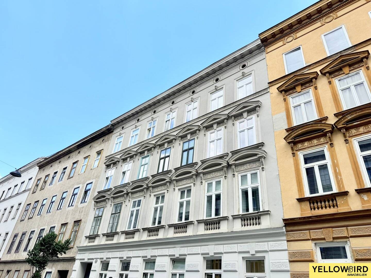 Altbauwohnung mit Lift und Grünblick im ruhigen Innenhof