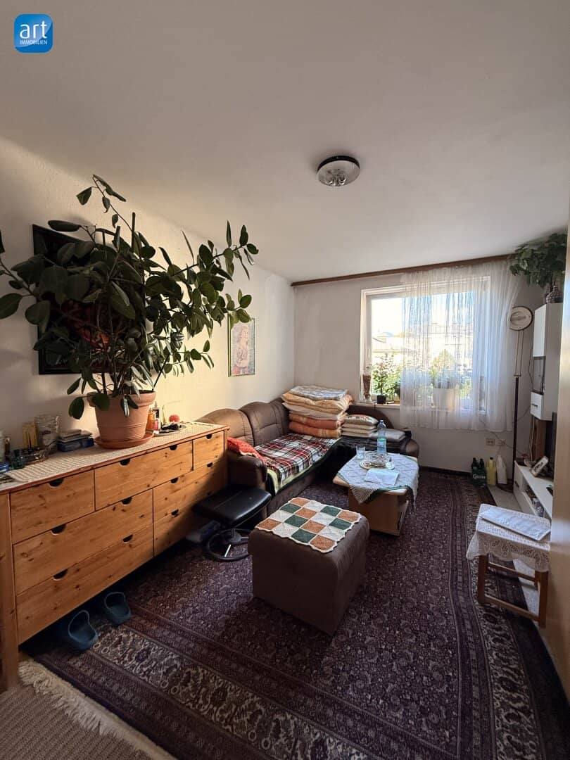 Bright Investment Apartment with Cellar near the Salzach