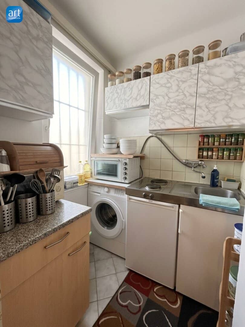 Bright Investment Apartment with Cellar near the Salzach
