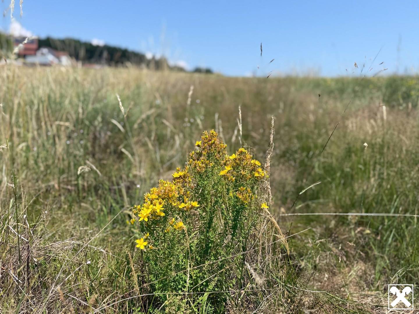 Baugrundstück mit Aussicht in ruhiger Siedlungslage