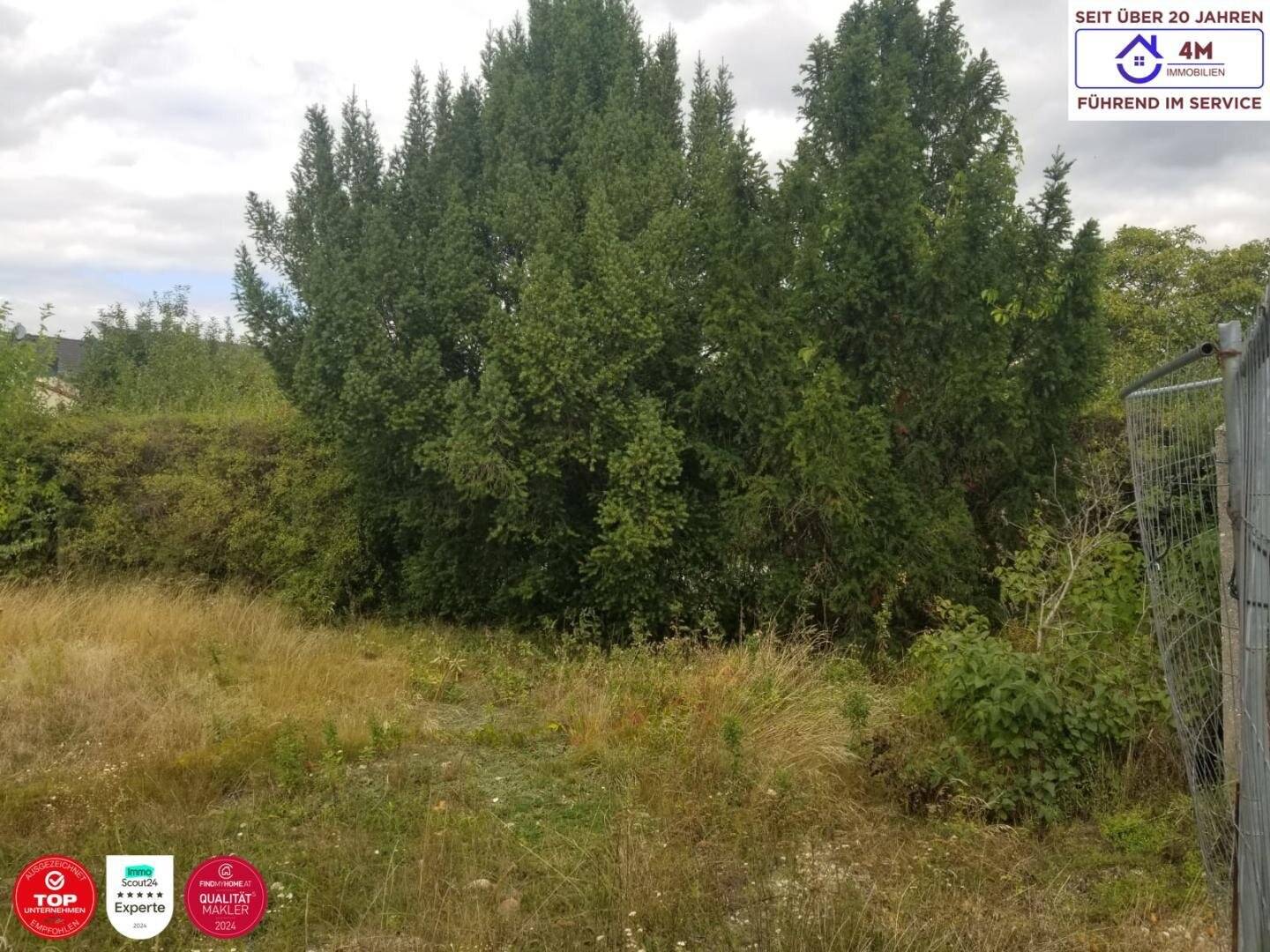 Baugrundstück im Ortskern von Seyring