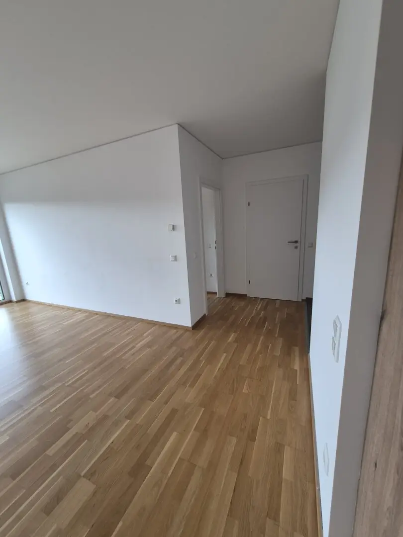 New build apartment with southwest balcony and parquet flooring