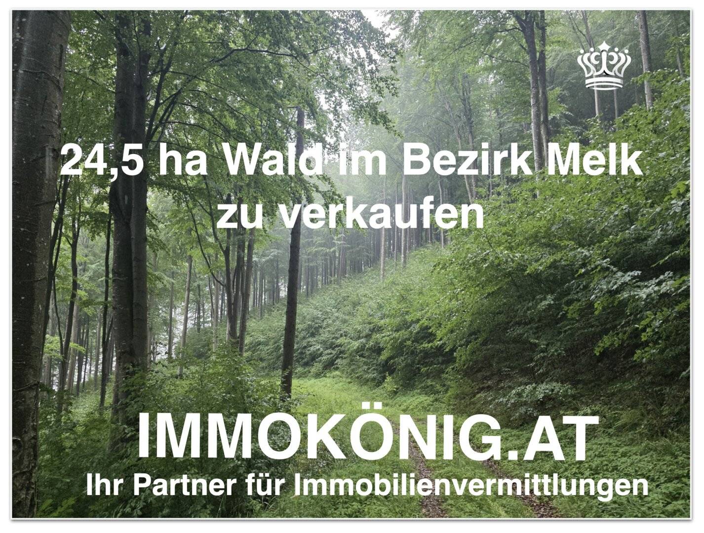 Großflächiger Eigenwald mit landwirtschaftlicher Nutzfläche und eigener Schottergrube