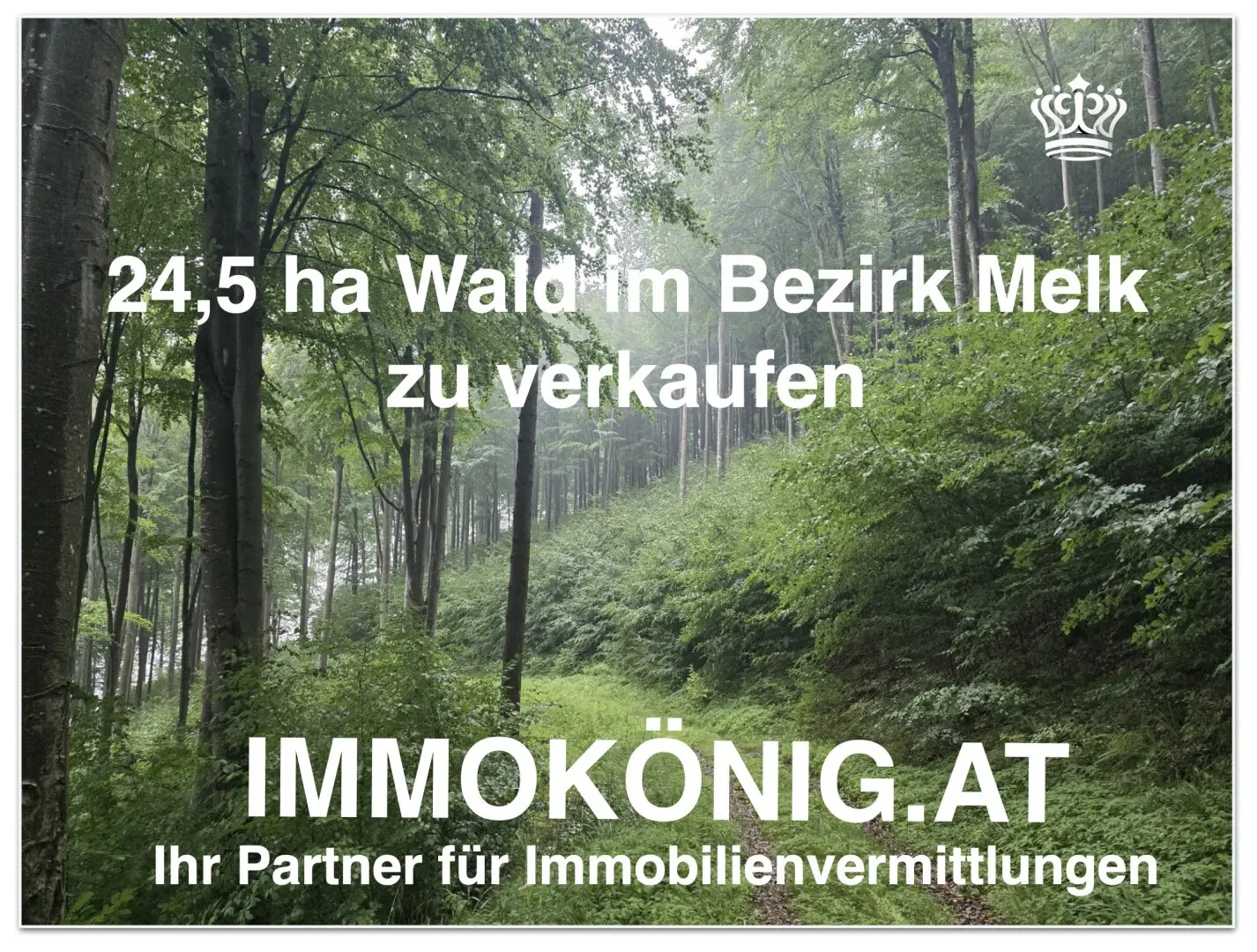 Seltene Gelegenheit: 24,5 ha Wald samt 1,2 ha landwirtsch.NFL verkaufen