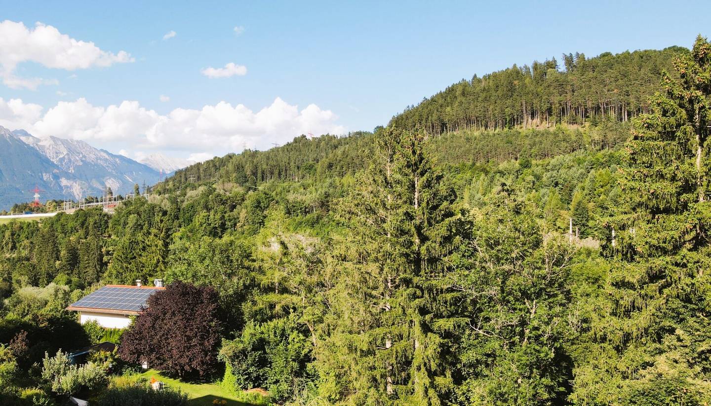 Baugrundstück mit Bergblick und Waldnähe