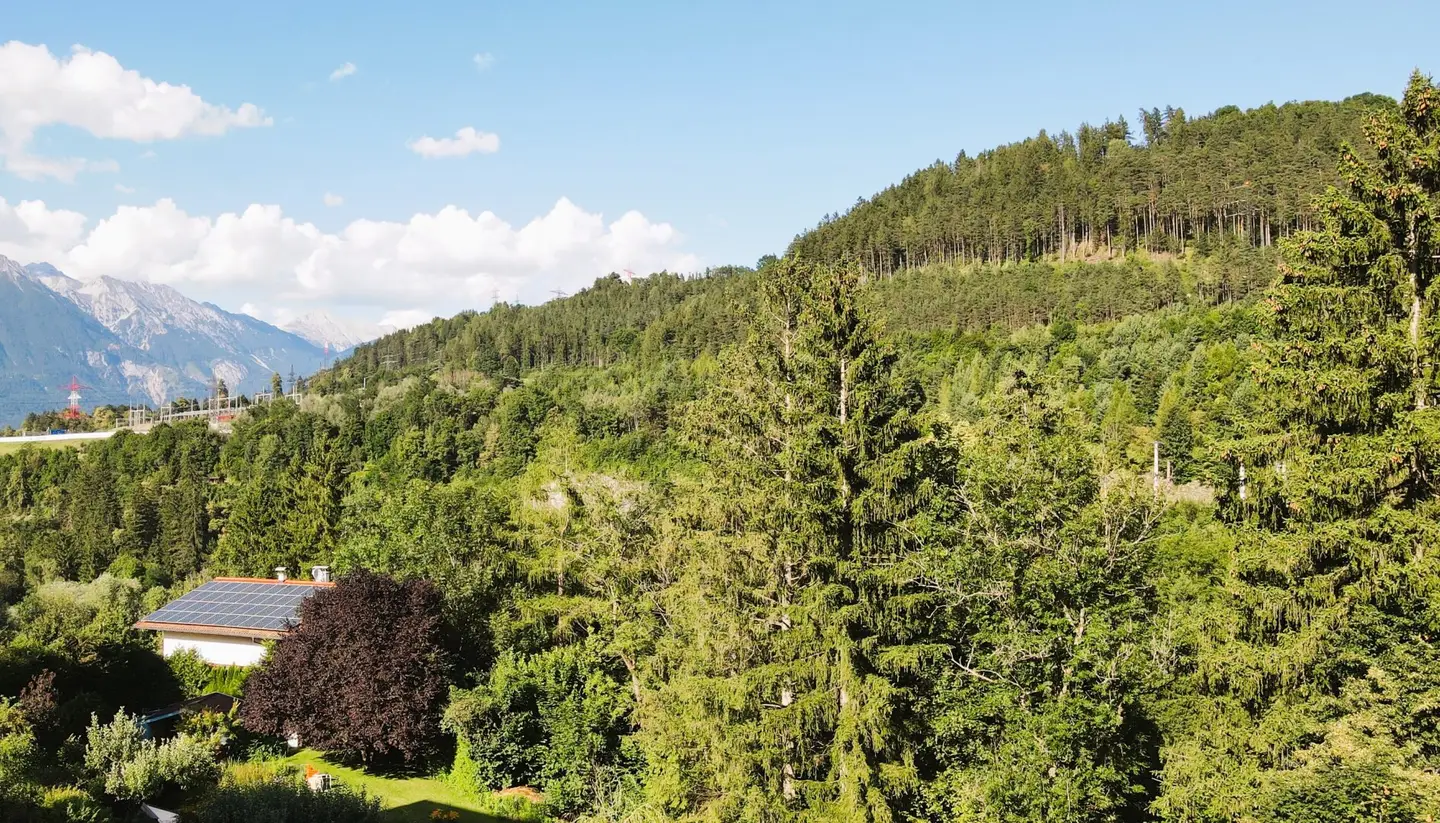 Building plot with mountain view and forest proximity
