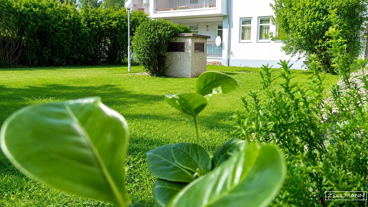 Living with garden flair in Rodaun move in ready 3 room apartment with a beautiful communal garden ZELLMANN IMMOBILIEN