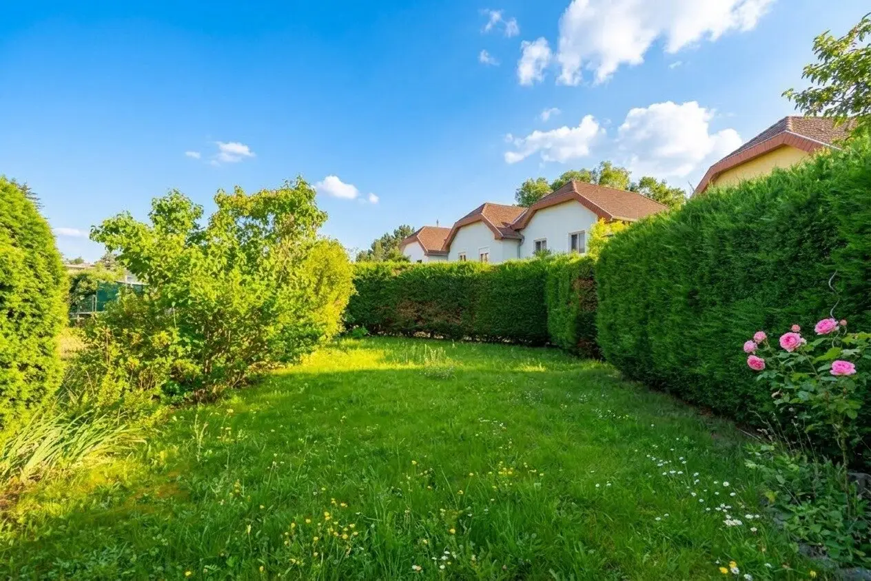 Well-maintained semi-detached house with garden and garage