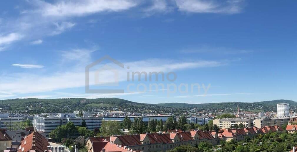 Apartment with panoramic view and lift in a historic building