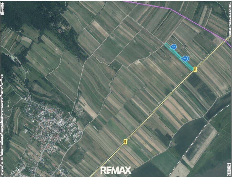 Weinberg in sonniger Südostlage direkt an der B50