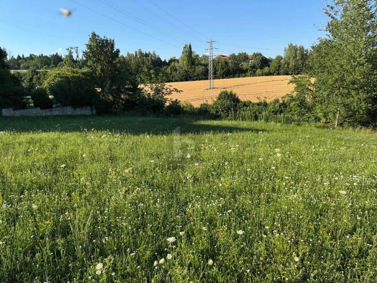 Mit Baugenehmigung und Grünstreifen stadtnah Wohnung