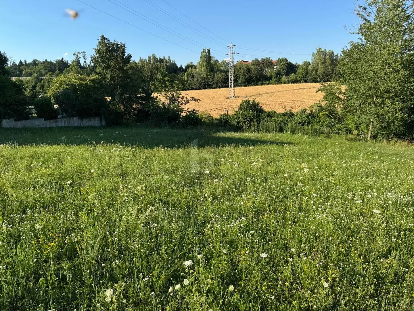 Sofort baufähiges Grundstück mit Baugenehmigung Wohnung