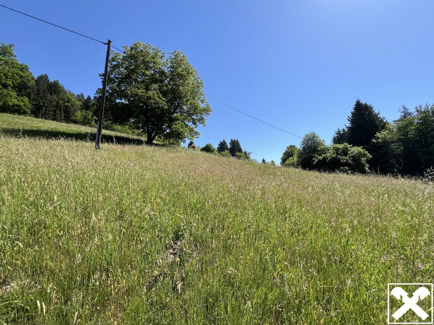 Baugrundstück in sonniger Hanglage mit See und Bergnähe
