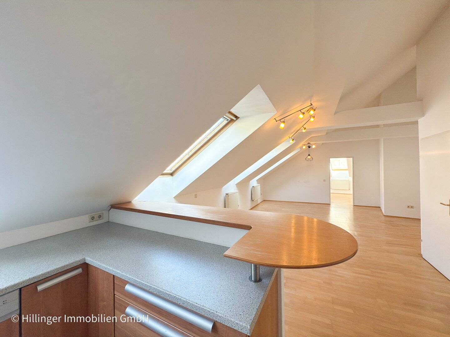 Bright attic apartment with spacious open kitchen near Floridsdorf station