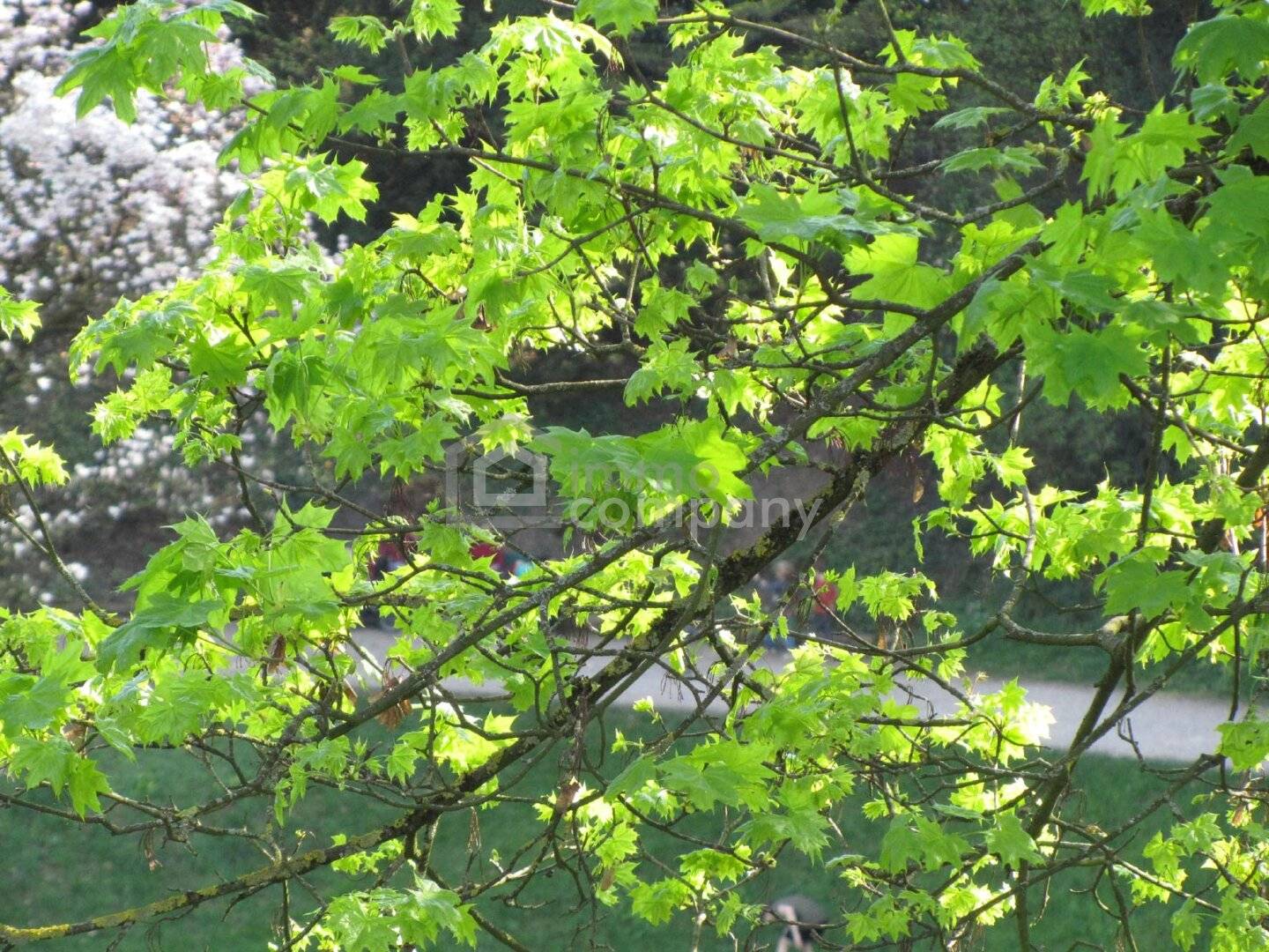 Renovierte Wohnung mit sonniger Aussicht
