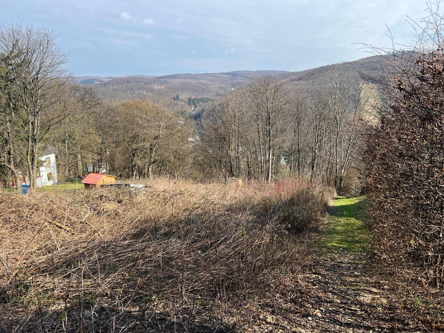 Plot with approved house project in the forest