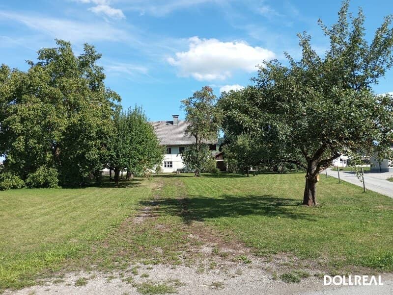 Building plot with orchard in sunny location