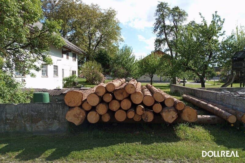Baugrundstück mit Obstgarten in sonniger Lage