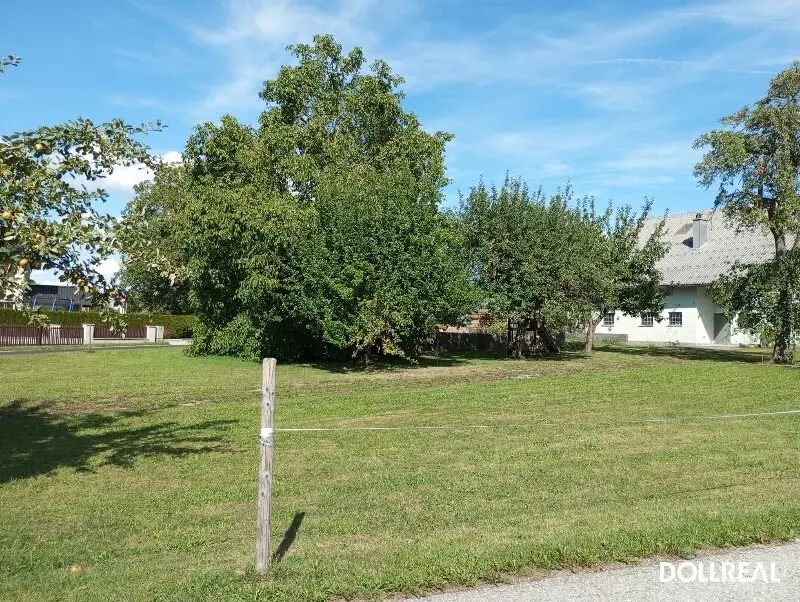 STEINDORF BEI STRASSWALCHEN: Obstgarten 1, 635 m² für Ihr neues Zuhause!