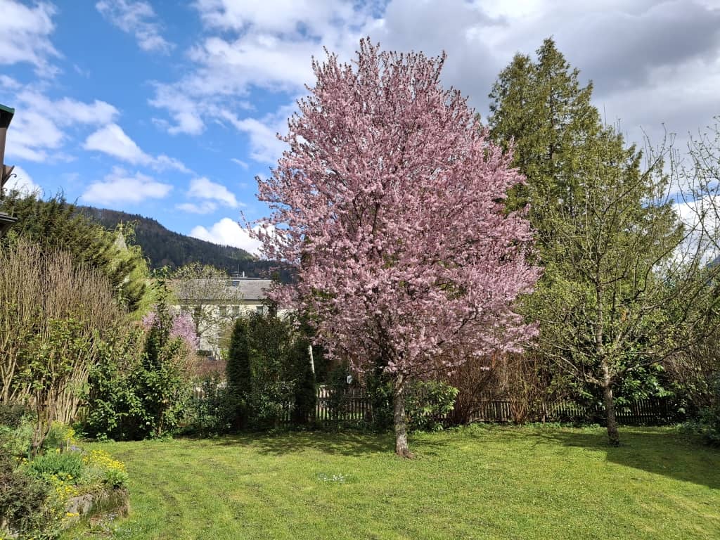 Charmantes Haus mit Wintergarten und Terrasse in Bad Goisern