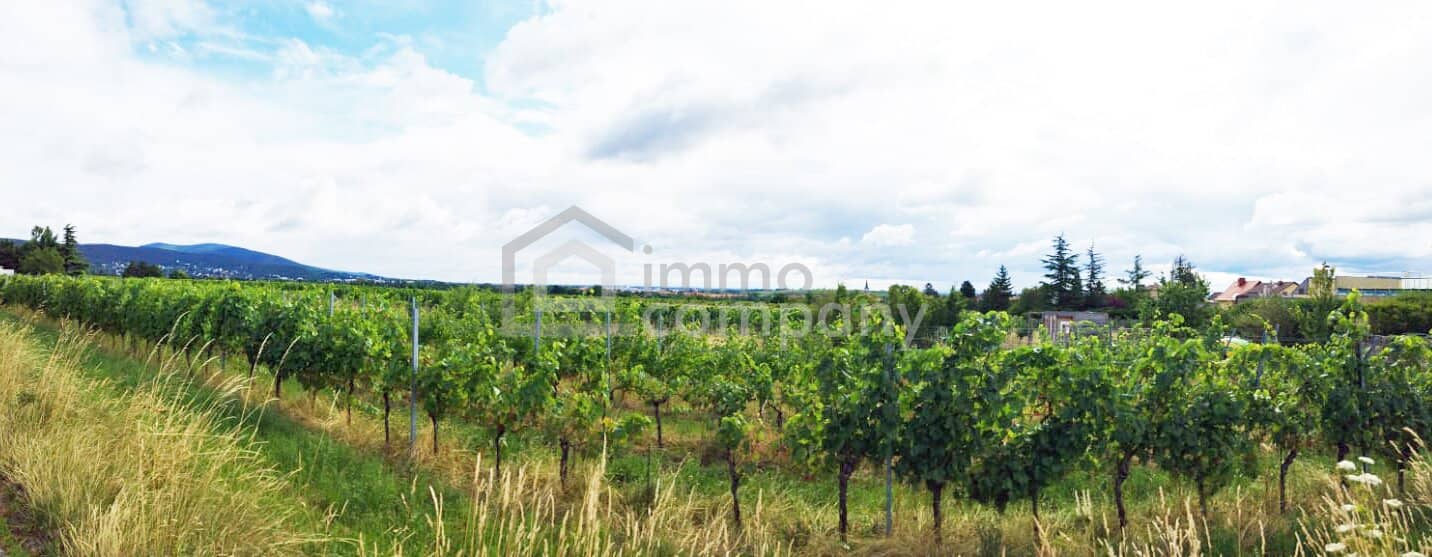 Arrive &amp; Breathe – Your Dream Plot in the Vineyards South of Vienna