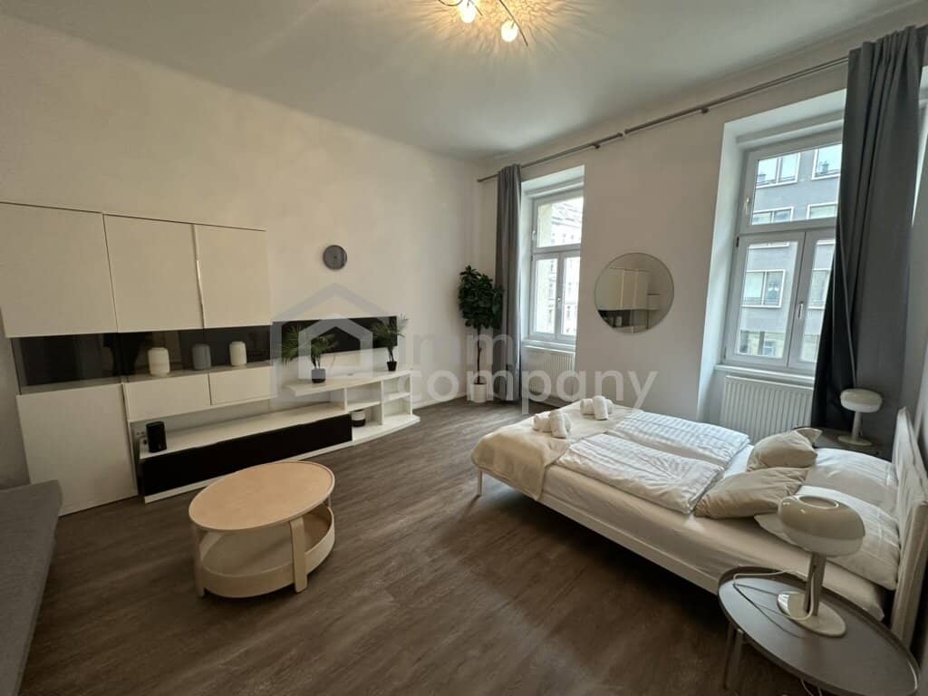 Apartment in central location near university
