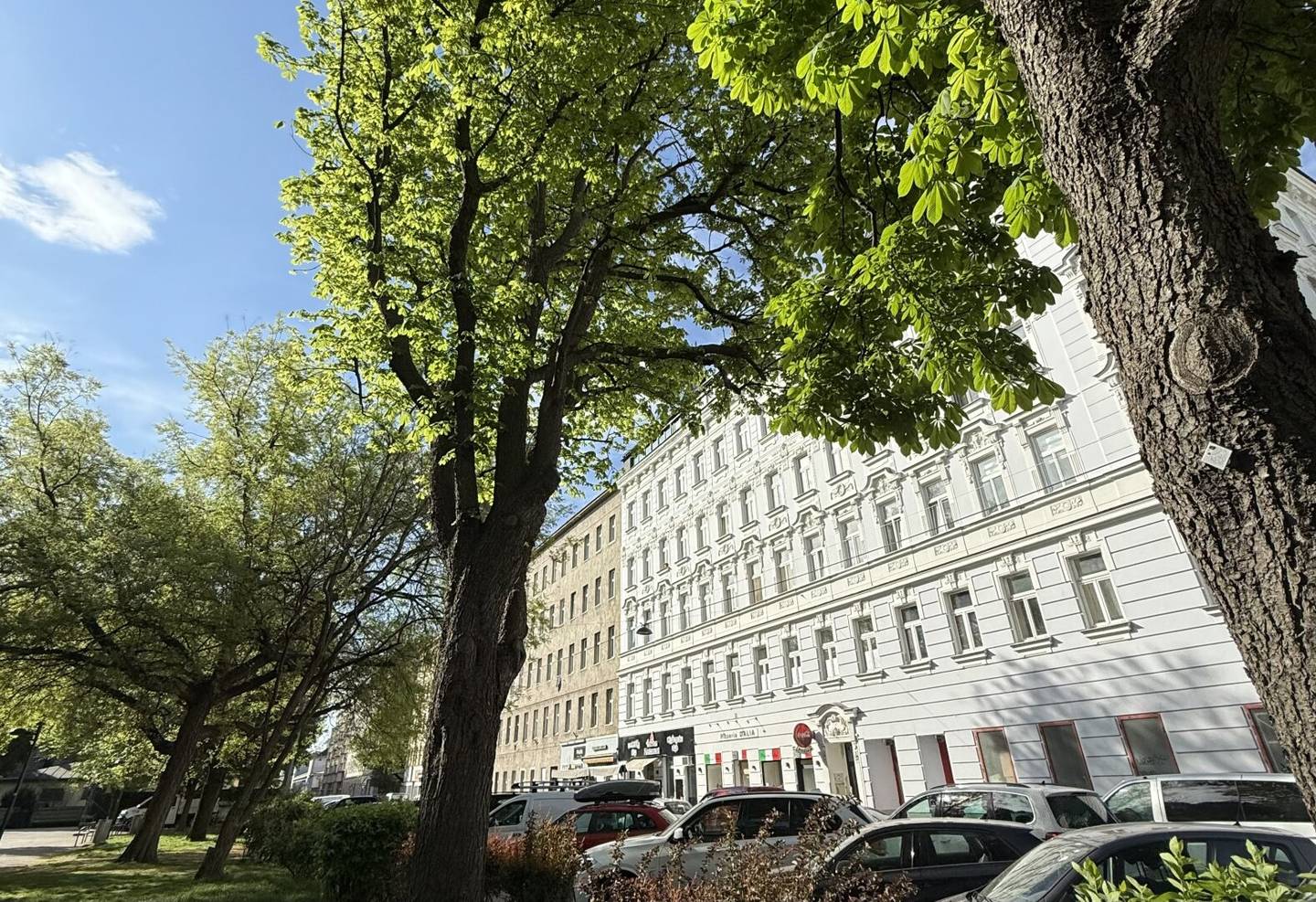 Charmante Altbauwohnung mit Grünblick