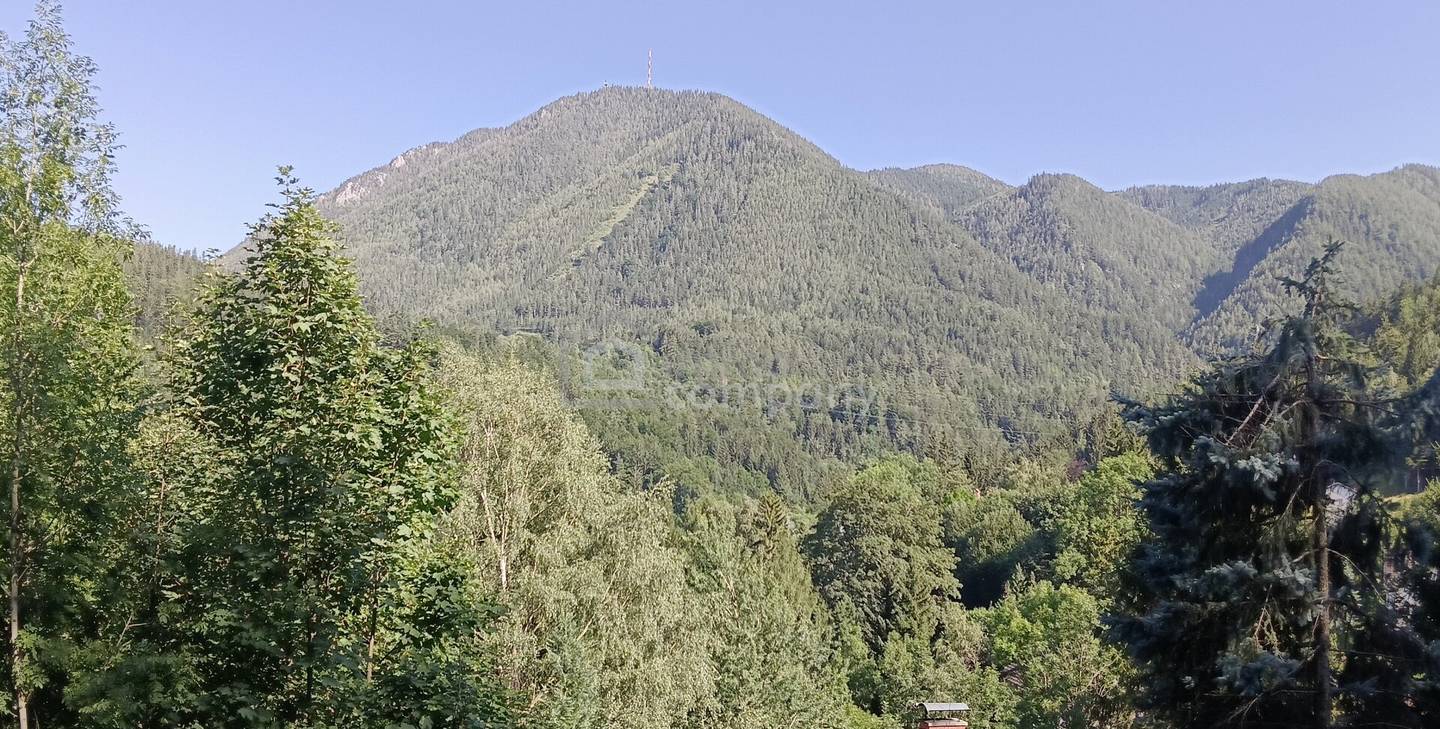 Ihr Grundstück in Hanglage mit absolutem Grünblick