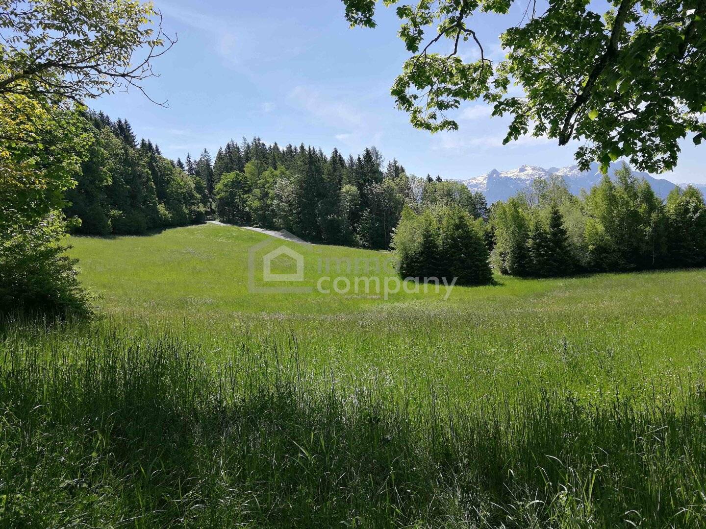 Unique landscape gem at 1010 m elevation with dreamlike mountain and distant view I 12 ha I Salzburg Süd