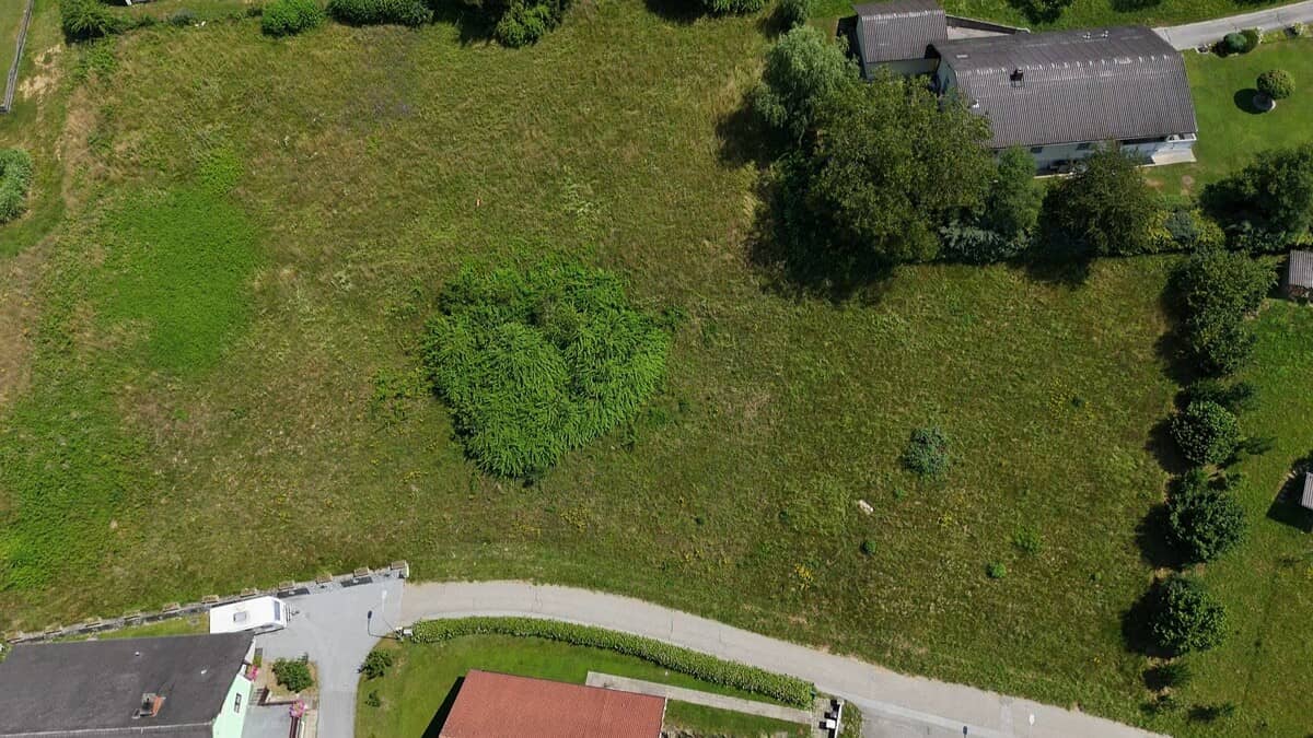Sonniges Baugrundstück mit unverbaubarer Aussicht