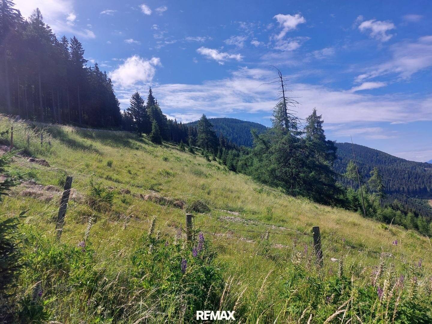 Bauland auf der Koralpe mit Weitblick